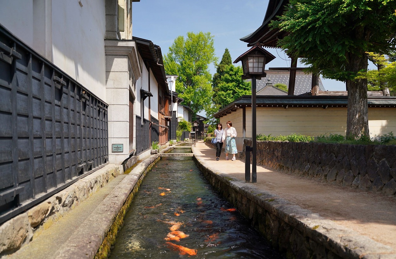 「瀬戸川の鯉」が当たり前の風景になるまで。 ちょっといいひだ